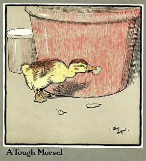 Morsel: Master Quack the duckling finds a tough morsel