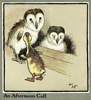 Wakes: Master Quack the duckling meets two owls