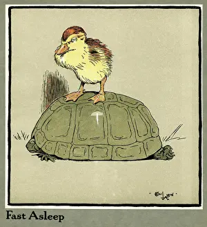 Slow: Master Quack the duckling riding a tortoise