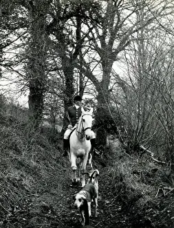 Scenting: Master of the South Devon Foxhounds