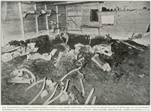 Skeletons: Mastodon remains in Indiana