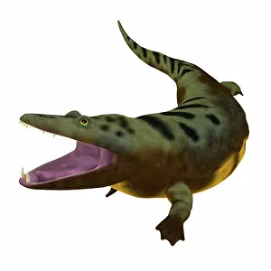 Temnospondyli: Mastodonsaurus amphibian, side view on white background