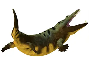 Ugliness: Mastodonsaurus amphibian on white background