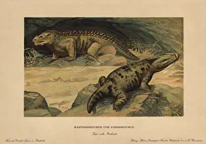 Mastodonsaurus: Mastodonsaurus, extinct giant amphibian, and