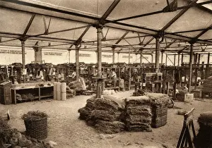Merksplas: Mat Factory Establishment for Recidivists, Merxplas, Belgium