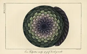 Interior Decoration: A mat woven from thick coloured string