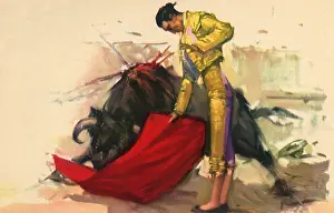 Bullfight: Matador, Bleeding Bull