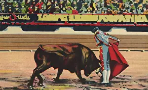 Bullfight: Matador and the Bull