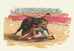 Bullfight: Matador Bullfighting