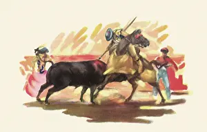 Bullfight: Matador Bullfighting