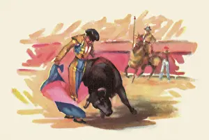 Bullfight: Matador Bullfighting