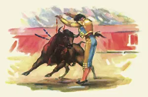 Bullfight: Matador Bullfighting