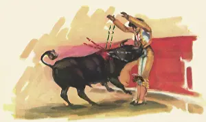Bullfight: Matador Bullfighting