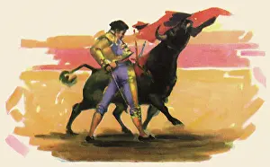 Bullfight: Matador Bullfighting