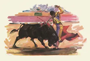 Bullfight: Matador Bullfighting