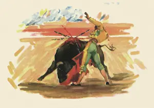 Bullfight: Matador Bullfighting