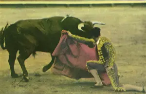 Bullfight: Matador Bullfighting