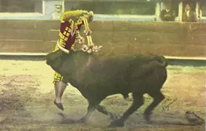 Bullfight: Matador Bullfighting