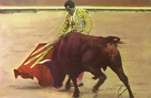 Bullfight: Matador Bullfighting