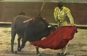 Bullfight: Matador Bullfighting