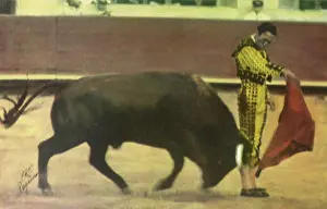 Bullfight: Matador Bullfighting