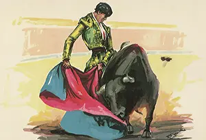 Bullfight: Matador Bullfighting
