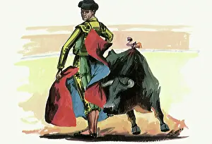 Bullfight: Matador Bullfighting