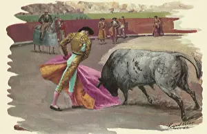 Bullfight: Matador Bullfighting