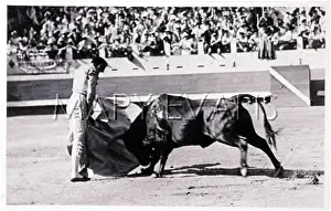 Muleta: MATADOR EXECUTES PASEO