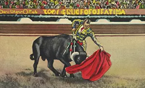 Bullfight: Matador Killing Bull