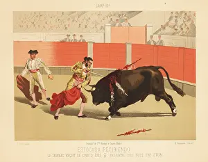 Corrida: Matador making the estocada (death blow) with the sword