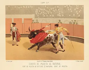 Corrida: Matador making a pass with the muleta (cape) and sword