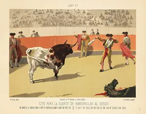 Corrida: Matador preparing to stab a bull with two