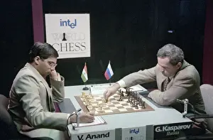Chess: Match for chess crown under version of Professional