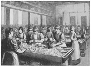 Matchgirls: Match Makers 1903