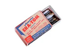 Matchbox: Matchbox Insects
