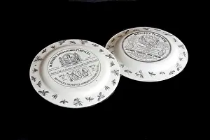 Wasps: Mather's advertising plates