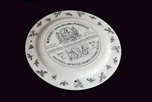 Plasters: Mather's fly paper plate - reverse
