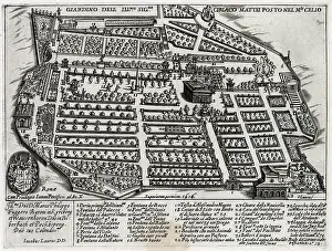 Maze: MATTEI GARDENS, ROME