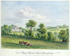 Kenwood: Matthews - Caen Wood