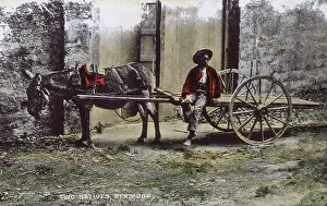 Bedraggled: Maud and Sam - Boy and his donkey cart - Bermuda