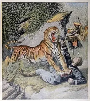 Mauled: MAULED BY A TIGER