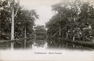Mauritian: Mauritius - Pamplemousses - Basin Farquar