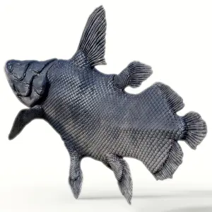 Osteichthyes: Mawsonia fish
