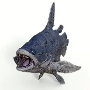 Menacing: Mawsonia fish, white background