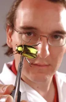Scarab: Max Barclay with beetle specimen