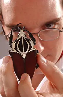 Scarab: Max Barclay with beetle specimen