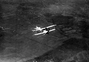 Immelmann: Max Immelmann in his machine