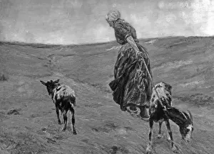 Liebermann: Max Liebermann
