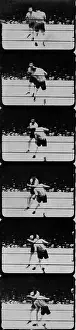 Schmeling: Max Schmeling
